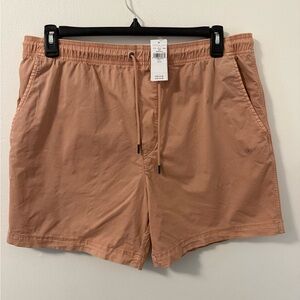 American Eagle Outfitters Men's Shorts Large NWT